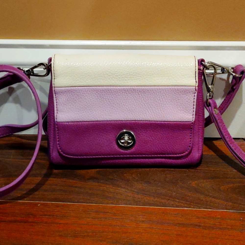 FINAL PRICE Charming Charlie Crossbody